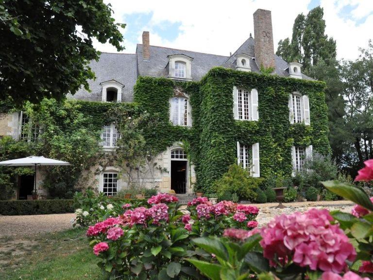 La Marronniere Hotel Cheffes-sur-Sarthe Kültér fotó